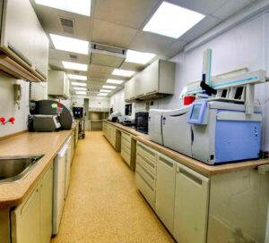 A modern healthcare laboratory with countertops, cabinets, sinks, and scientific equipment under fluorescent ceiling lights.
